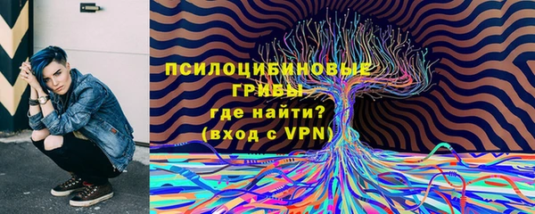 прущие грибы Арсеньев
