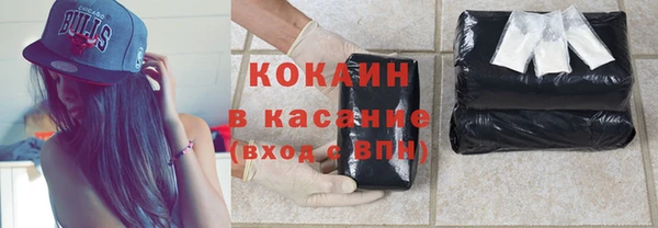 прущие грибы Арсеньев