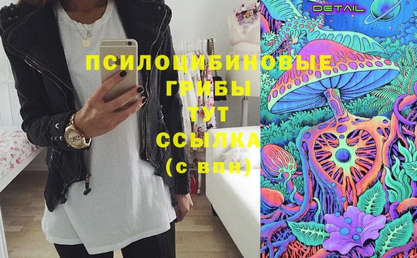 прущие грибы Арсеньев