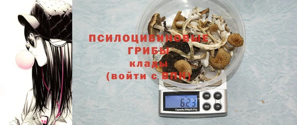 гашик Баксан